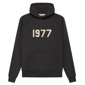 Hoodie/1977 Iron